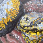 Ardmore Rocks, 51x40cm, acrylic on canvas